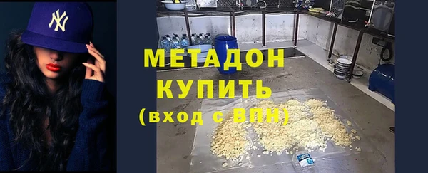 шишки Гусиноозёрск