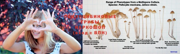 MDMA Гусь-Хрустальный