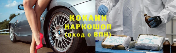 шишки Гусиноозёрск
