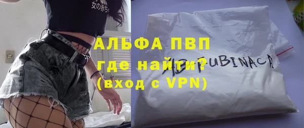 PSILOCYBIN Гусев
