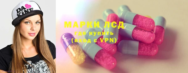шишки Гусиноозёрск