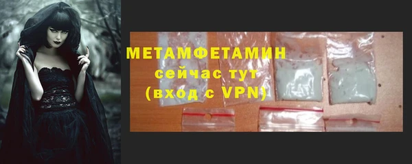 шишки Гусиноозёрск