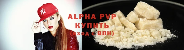 PSILOCYBIN Гусев