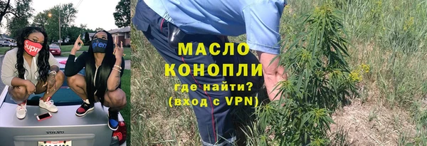 шишки Гусиноозёрск