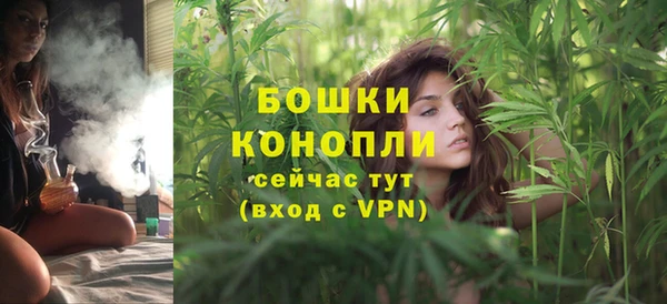 шишки Гусиноозёрск
