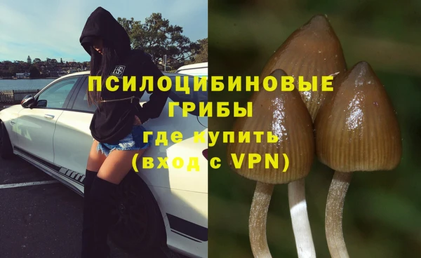 шишки Гусиноозёрск
