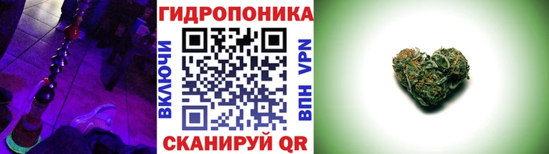 Конопля план  Купить  Облучье 